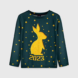 Лонгслив детский Год кролика - 2023, цвет: 3D-принт