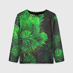 Лонгслив детский Зелёный лес России, цвет: 3D-принт