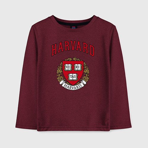 Детский лонгслив Harvard university / Меланж-бордовый – фото 1