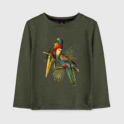 Лонгслив хлопковый детский Тропические попугаи, цвет: меланж-хаки