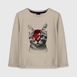 Лонгслив хлопковый детский Серый кот с молнией, цвет: миндальный