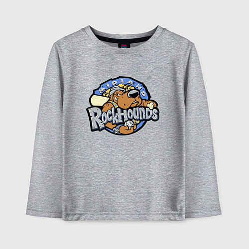 Детский лонгслив Midland Rockhounds - baseball team / Меланж – фото 1