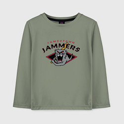 Детский лонгслив Jamestown Jammers - baseball team