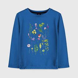 Лонгслив хлопковый детский Полевые растения цветы ботаника, цвет: синий