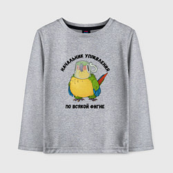 Лонгслив хлопковый детский Начальник всякой фигни, цвет: меланж