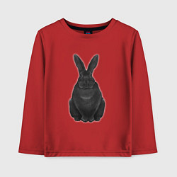 Лонгслив хлопковый детский Черный водяной кролик - 2023, цвет: красный
