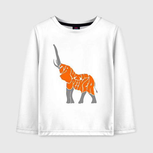 Детский лонгслив Искатель истины / Белый – фото 1