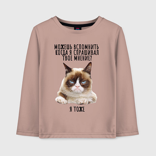 Детский лонгслив Кот-ворчун мем / Пыльно-розовый – фото 1