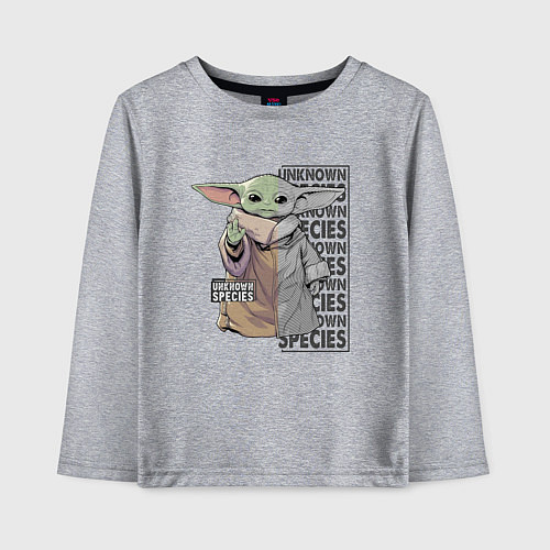 Детский лонгслив Unknown specis - Baby Yoda / Меланж – фото 1