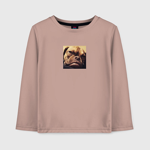 Детский лонгслив Сердитый Песик / Пыльно-розовый – фото 1