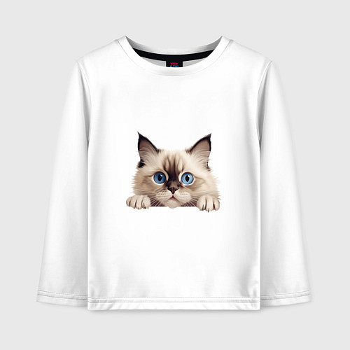 Детский лонгслив Ragdoll cat / Белый – фото 1