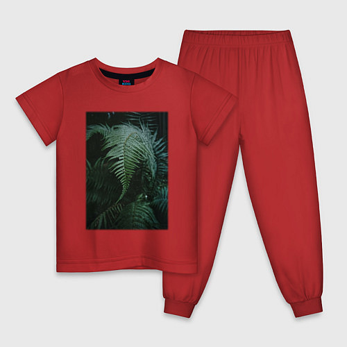 Детская пижама Зелёный Папоротник В Лесу / Красный – фото 1