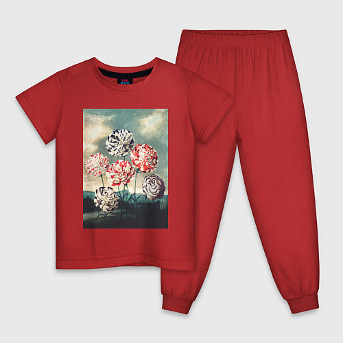 Детская пижама A Group of Carnations Гвоздики / Красный – фото 1