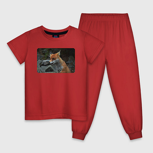 Детская пижама Лисичка на камнях / Красный – фото 1