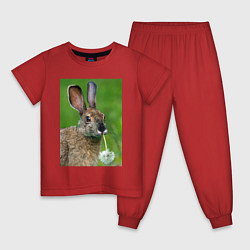 Пижама хлопковая детская Зайчик с одуванчиком, цвет: красный