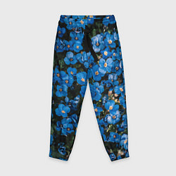 Детские брюки Поле синих цветов фиалки лето