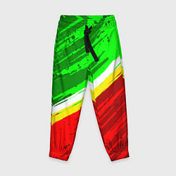 Детские брюки Расцветка Зеленоградского флага