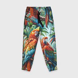 Детские брюки Попугаи Ара - тропики джунгли