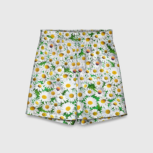 Детские шорты Полевые ромашки / 3D-принт – фото 1