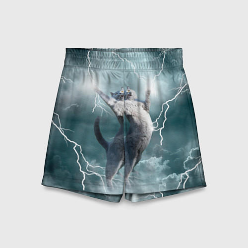 Детские шорты Грозовой кошак / 3D-принт – фото 1