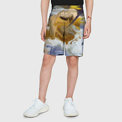 Шорты детские FET, цвет: 3D-принт — фото 2