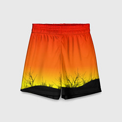Шорты детские Закат и травы, цвет: 3D-принт