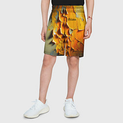 Шорты детские Peeling plaster - Milano, цвет: 3D-принт — фото 2