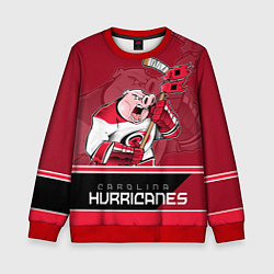 Детский свитшот Carolina Hurricanes
