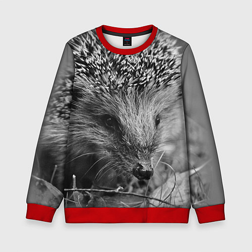 Детский свитшот Взгляд ёжика / 3D-Красный – фото 1