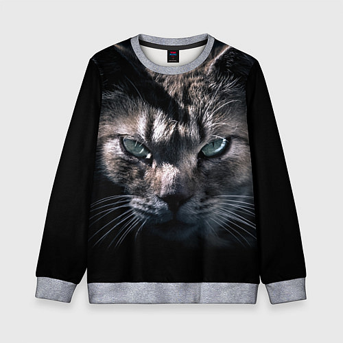 Детский свитшот Котик / 3D-Меланж – фото 1