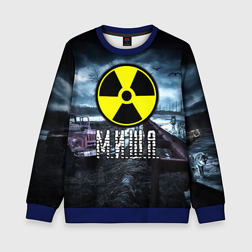 Детский свитшот S.T.A.L.K.E.R: Миша / 3D-Синий – фото 1