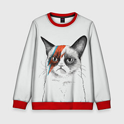 Детский свитшот David Bowie: Grumpy cat