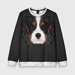 Свитшот детский Cavalier King Charles, цвет: 3D-белый