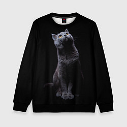 Свитшот детский Кот Британец, цвет: 3D-черный