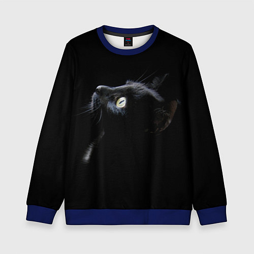 Детский свитшот Кот / 3D-Синий – фото 1