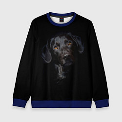 Свитшот детский Пес, цвет: 3D-синий