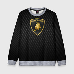 Детский свитшот Lamborghini logo n carbone