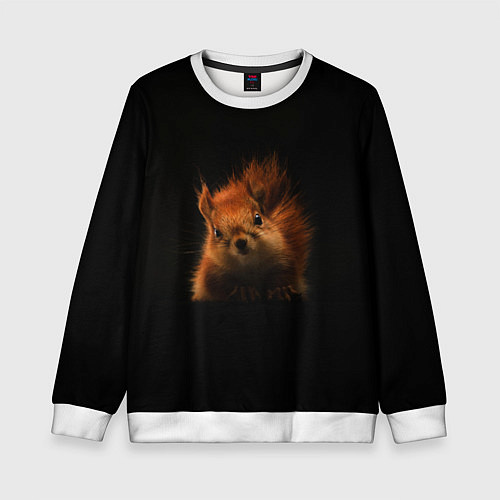 Детский свитшот Белка / 3D-Белый – фото 1