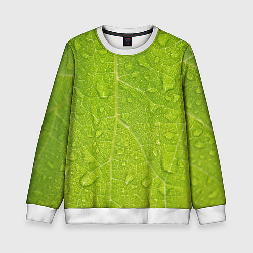 Детский свитшот Листок с росой / 3D-Белый – фото 1