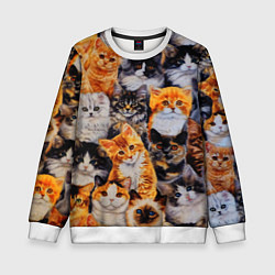 Свитшот детский КОТЯТКИ, цвет: 3D-белый