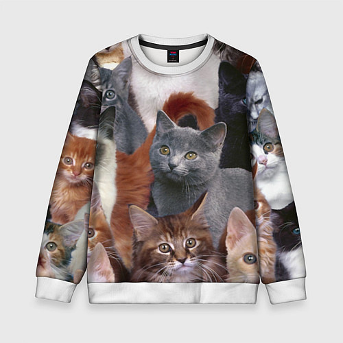 Детский свитшот КОТЯТКИ / 3D-Белый – фото 1