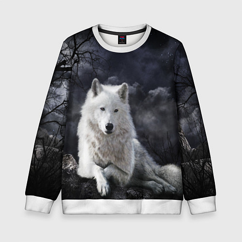 Детский свитшот БЕЛЫЙ ВОЛК D / 3D-Белый – фото 1
