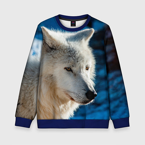 Детский свитшот Волк на черном фоне / 3D-Синий – фото 1