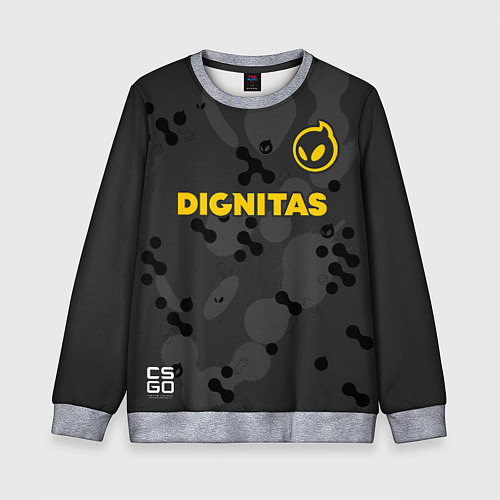 Детский свитшот Dignitas Jersey pro 202122 / 3D-Меланж – фото 1