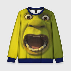 Свитшот детский Shrek is Yelling, цвет: 3D-синий