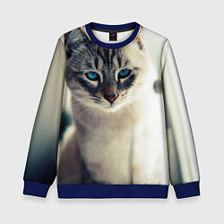 Свитшот детский Кот с Голубыми глазами, цвет: 3D-синий