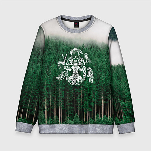 Детский свитшот ВАНАХЕЙМ РУНЫ RUNES Z / 3D-Меланж – фото 1
