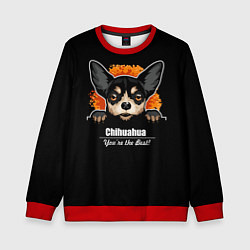 Детский свитшот Чихуахуа Chihuahua