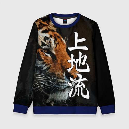 Детский свитшот Год тигра 2022 Взгляд / 3D-Синий – фото 1