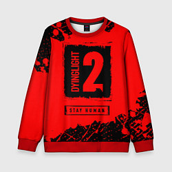 Детский свитшот ДАИНГ ЛАЙТ 2 Краски 1